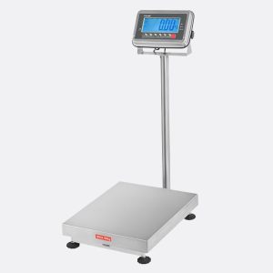 Romana Electronica AFM-60