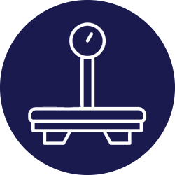 Icono Romanas de Piso